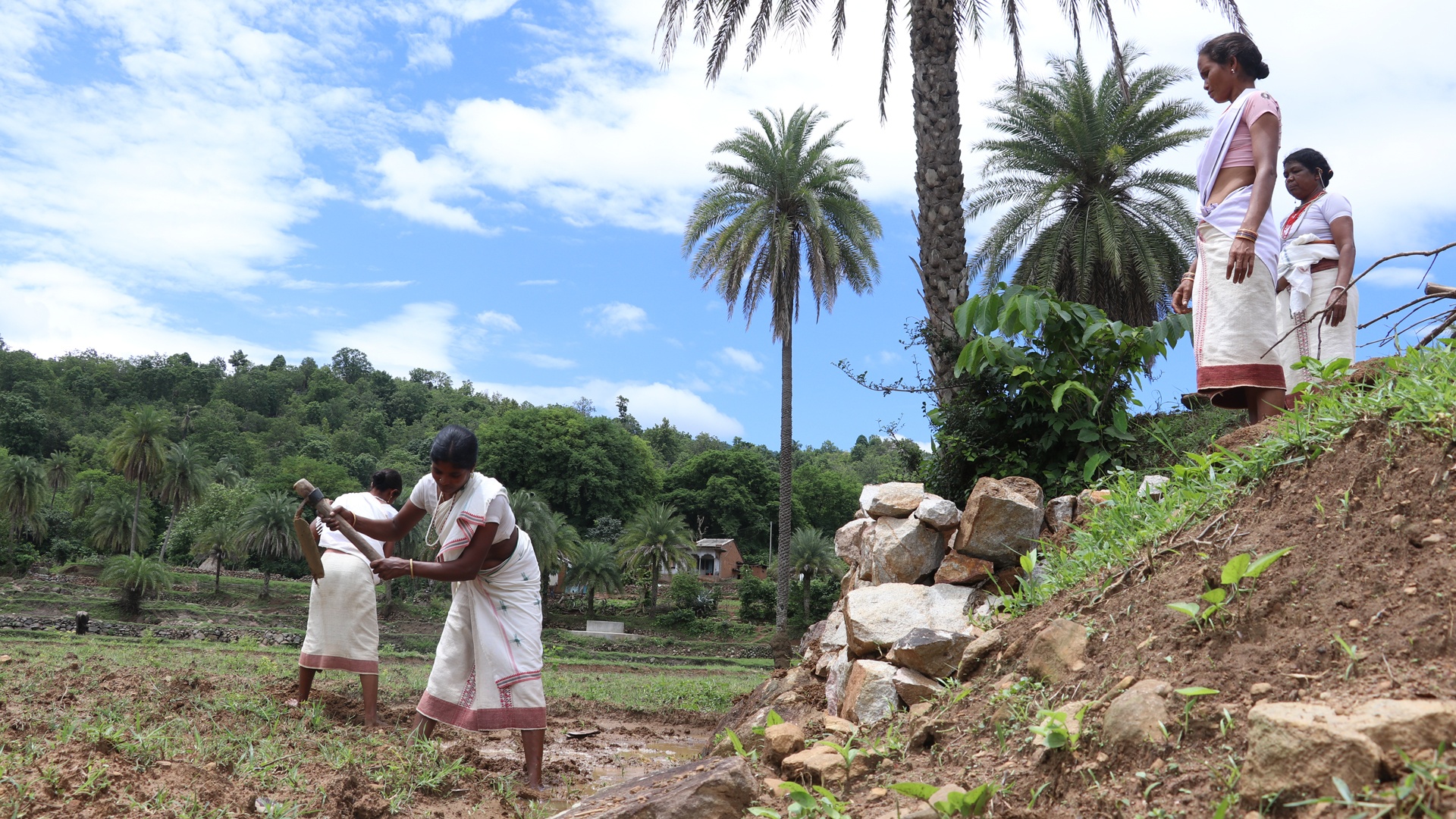 indigenous-farming-practices-in-the-philippines-old-ways-of-doing-new