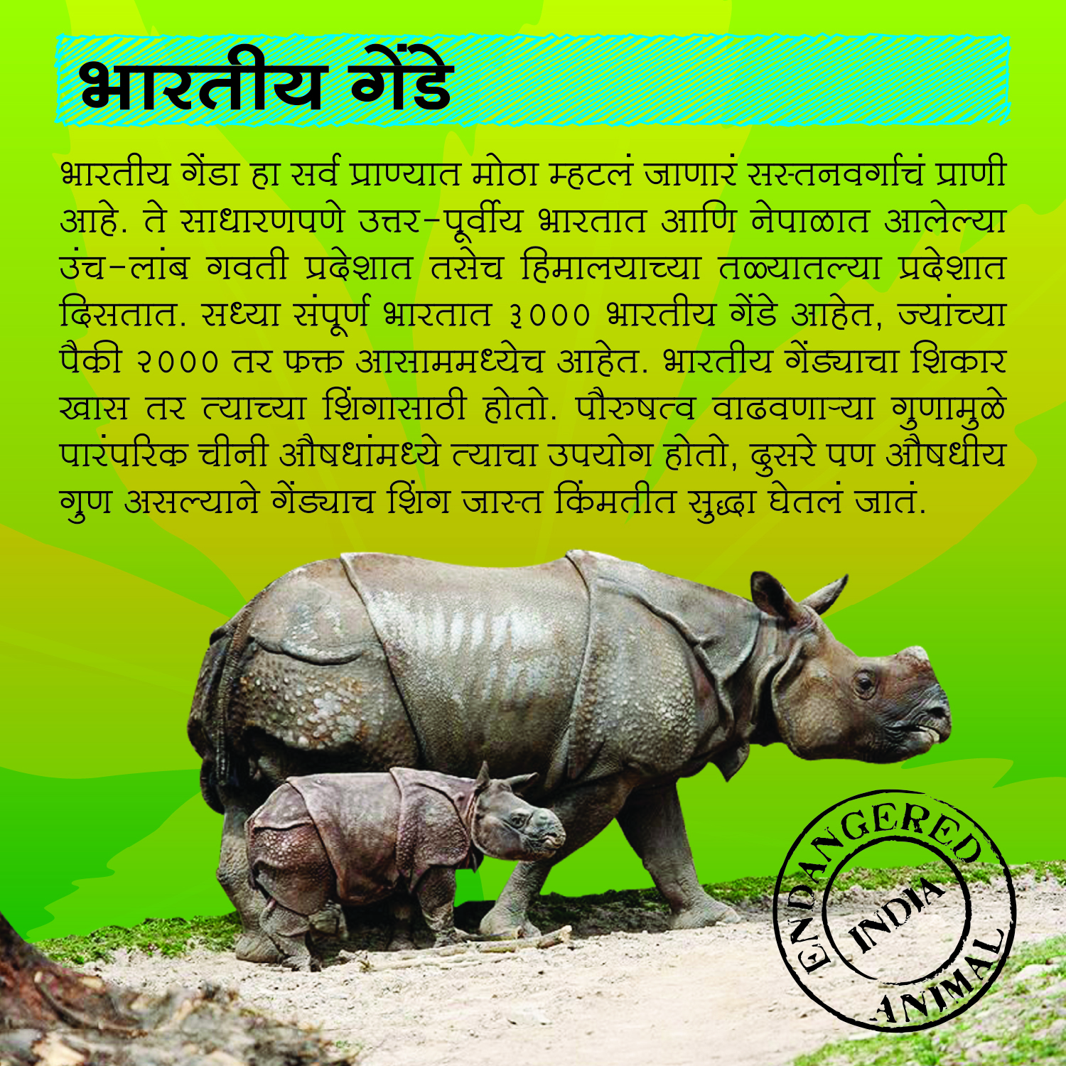 Interpretation Panel on Indian Rhino
