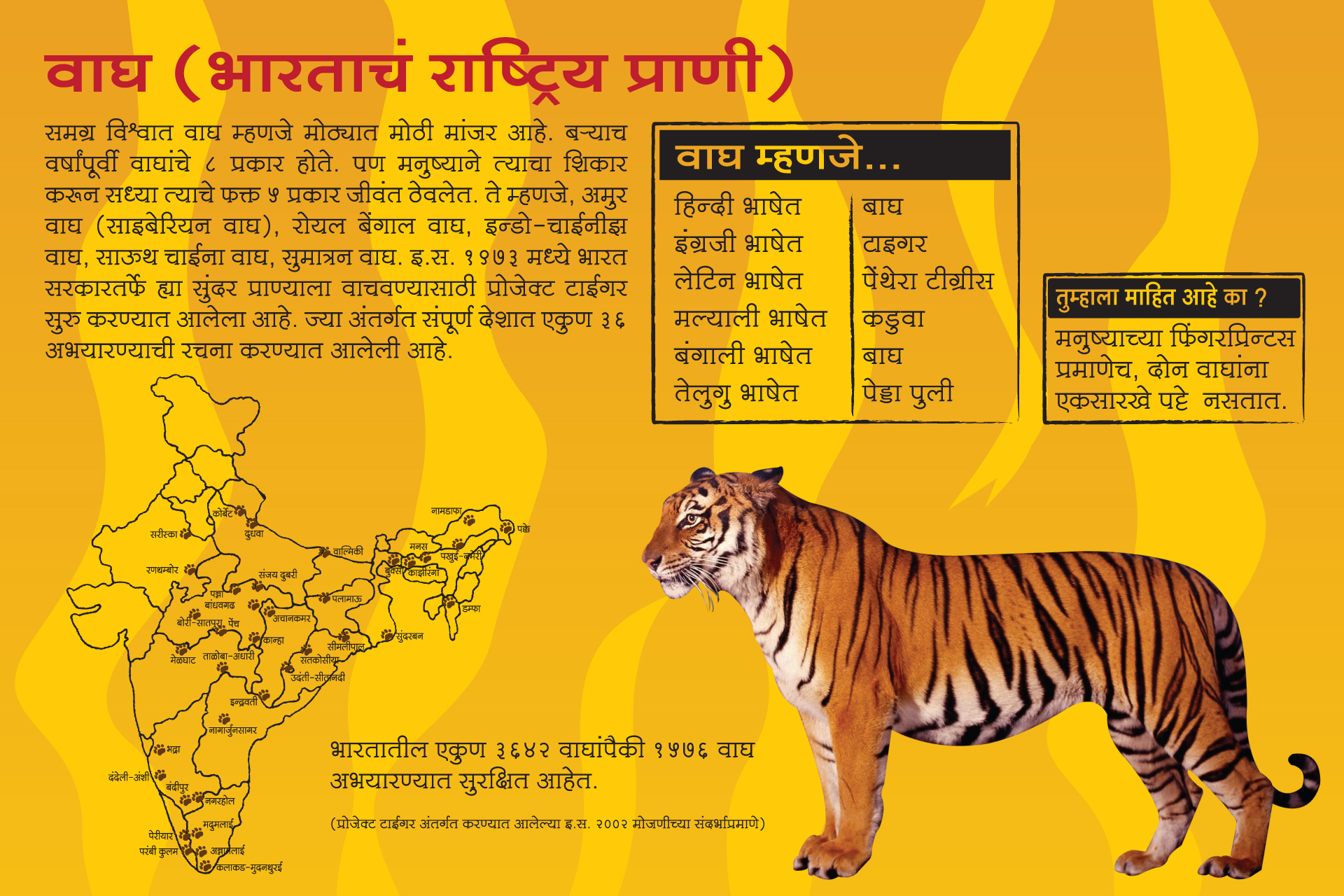 Interpretation Panel on Tiger